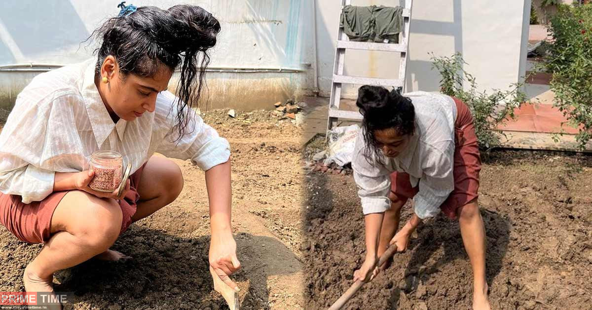 Actress Padmapriya enjoys farming in the field behind her own house - News  Portal